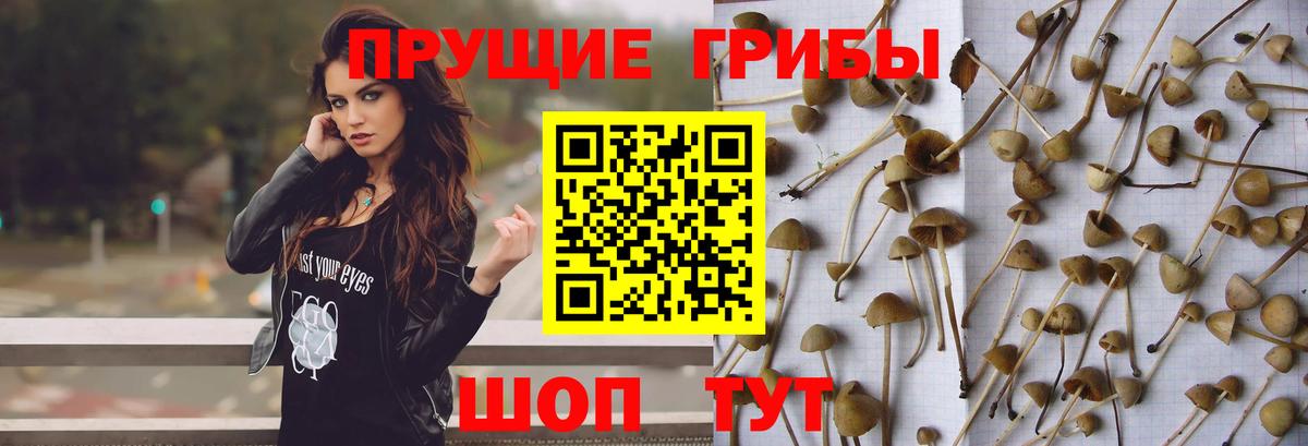Псилоцибиновые грибы прущие грибы Гагарин